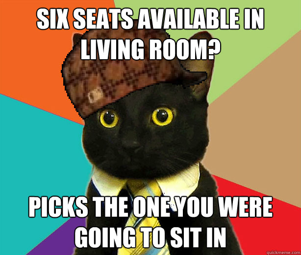 six seats available in living room? Picks the one you were going to sit in  Scumbag Cat