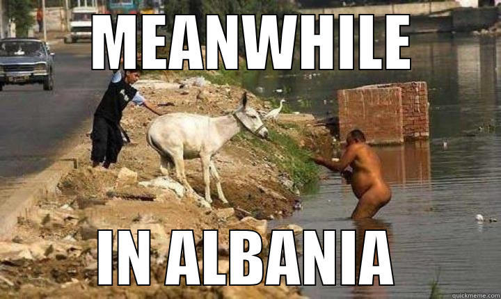  MEANWHILE IN ALBANIA Misc