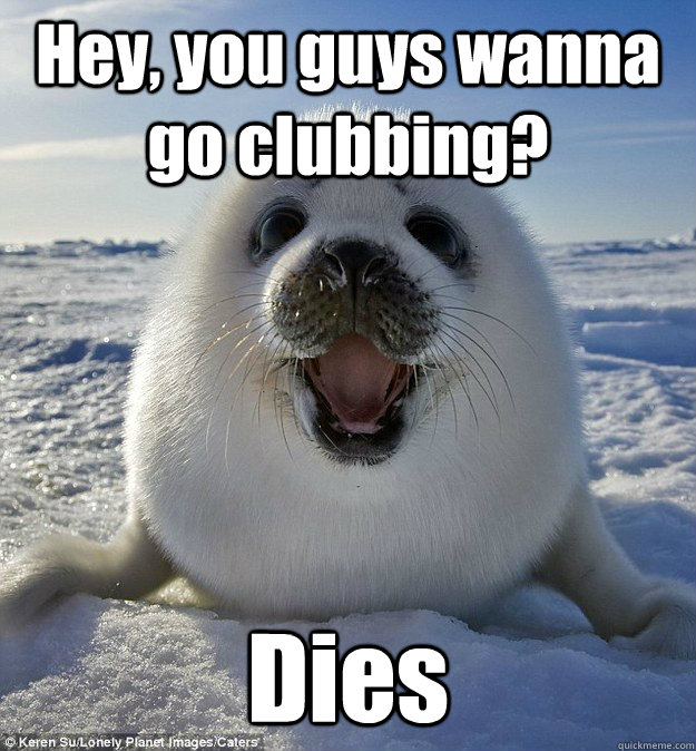 Hey, you guys wanna go clubbing? Dies  Easily Pleased Seal
