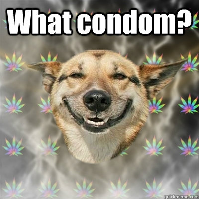 What condom?   Stoner Dog