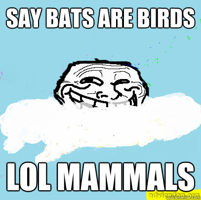 Say bats are birds LOL Mammals  God Troll