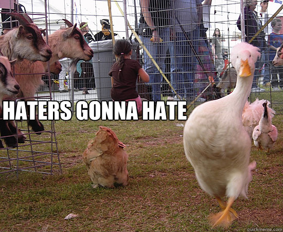 Haters gonna hate  Awesome Goose