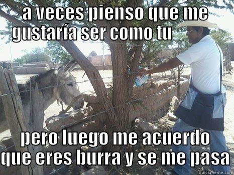 A VECES PIENSO QUE ME GUSTARÍA SER COMO TU               PERO LUEGO ME ACUERDO QUE ERES BURRA Y SE ME PASA Misc