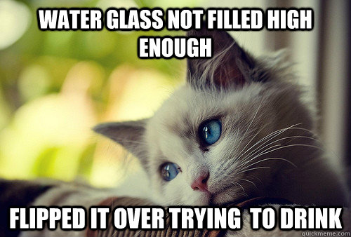 Water glass not filled high enough Flipped it over trying  to drink  First World Problems Cat