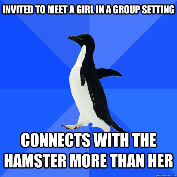 Invited to meet a girl in a group setting Connects with the hamster more than her  Socially Awkward Penguin