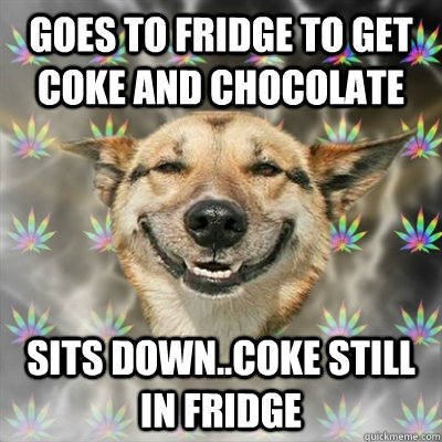 goes to fridge to get coke and chocolate sits down..coke still in fridge  Stoner Dog