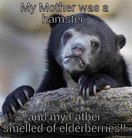 MY MOTHER WAS A HAMSTER; AND MY FATHER SMELLED OF ELDERBERRIES!! Confession Bear