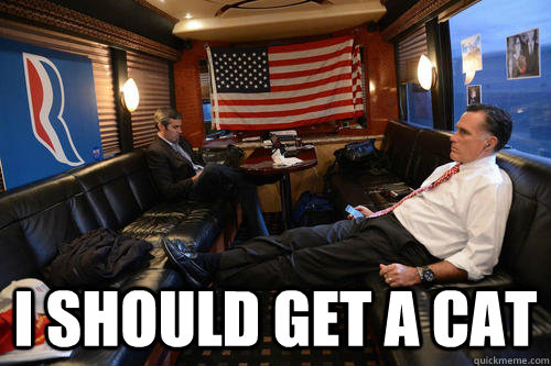  i should get a cat  Sudden Realization Romney