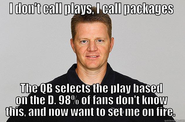 I DON'T CALL PLAYS, I CALL PACKAGES THE QB SELECTS THE PLAY BASED ON THE D. 98% OF FANS DON'T KNOW THIS, AND NOW WANT TO SET ME ON FIRE.  Misc