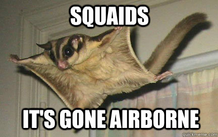SQUAIDS It's gone airborne  Flying Squaids
