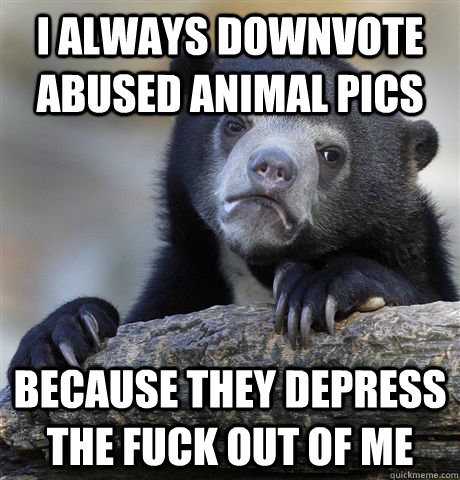I always downvote abused animal pics Because they depress the fuck out of me  Confession Bear