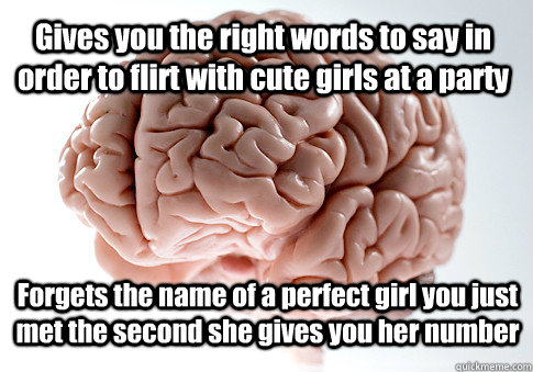 Gives you the right words to say in order to flirt with cute girls at a party Forgets the name of a perfect girl you just met the second she gives you her number  Scumbag Brain
