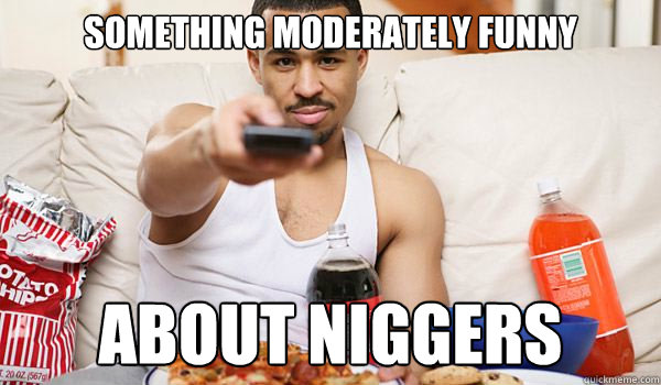Something moderately funny About niggers  ImGoingToHellForThis