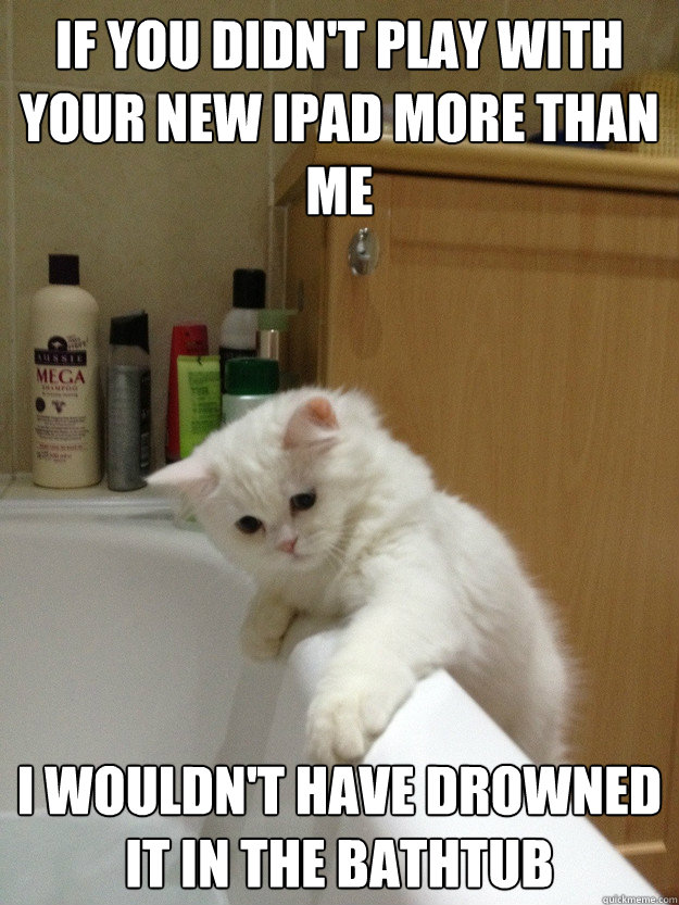 If you didn't play with your new ipad more than me I wouldn't have drowned it in the bathtub - If you didn't play with your new ipad more than me I wouldn't have drowned it in the bathtub  Evil Hindsight Cat