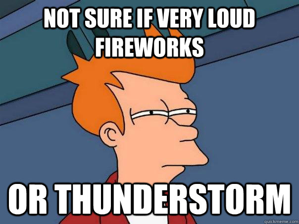 Not sure if very loud fireworks Or thunderstorm  Futurama Fry