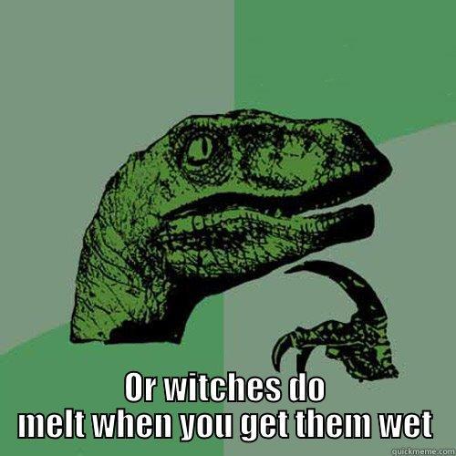  OR WITCHES DO MELT WHEN YOU GET THEM WET Philosoraptor