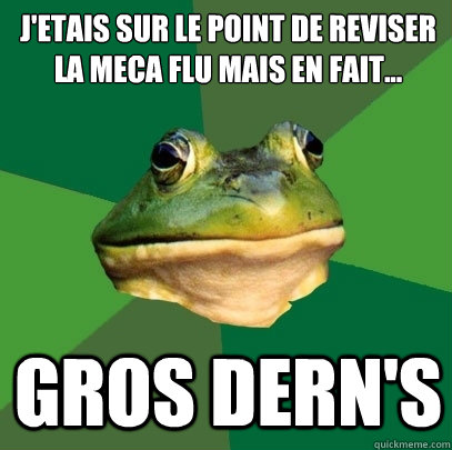 J'éetais sur le point de reviser la meca flu mais en fait... Gros Dern's  Foul Bachelor Frog