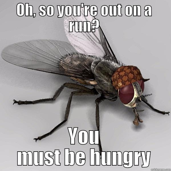 OH, SO YOU'RE OUT ON A RUN? YOU MUST BE HUNGRY Scumbag Fly