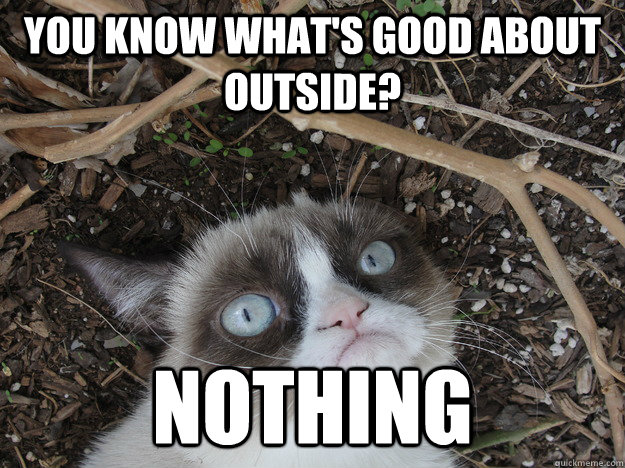 You know what's good about outside? Nothing  Stressed Grumpy Cat