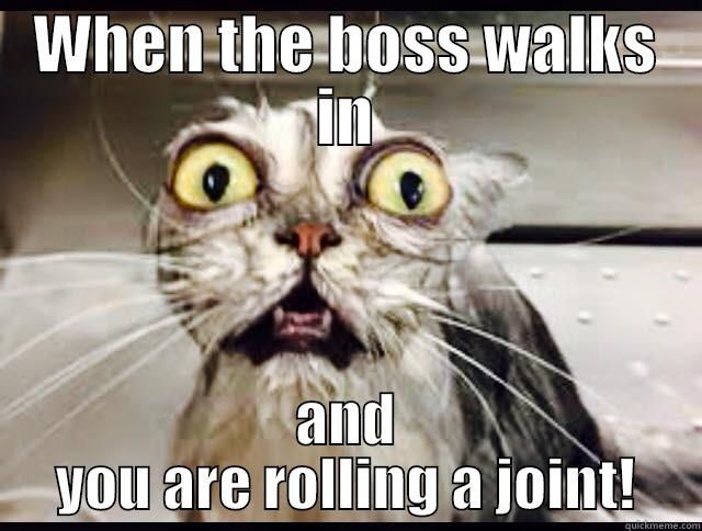 WHEN THE BOSS WALKS IN AND YOU ARE ROLLING A JOINT! Misc