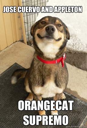 Jose Cuervo and Appleton ORANGECAT
SUPREMO  Good Dog Greg