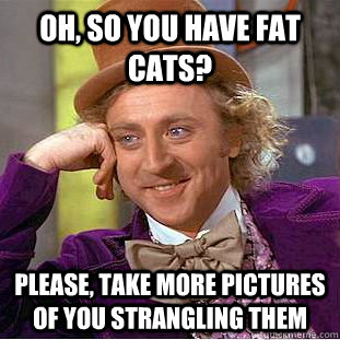 Oh, so you have fat cats? Please, take more pictures of you strangling them  Condescending Wonka