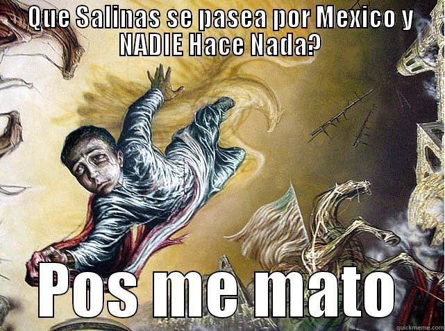 QUE SALINAS SE PASEA POR MEXICO Y NADIE HACE NADA? POS ME MATO Misc