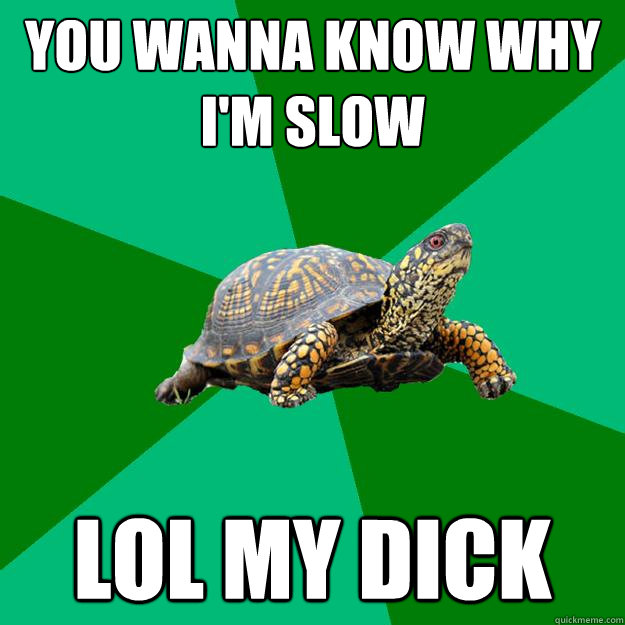 You wanna know why I'm slow  LOL MY DICK - You wanna know why I'm slow  LOL MY DICK  Torrenting Turtle