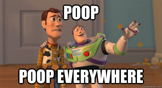 poop poop everywhere  Toy Story Everywhere