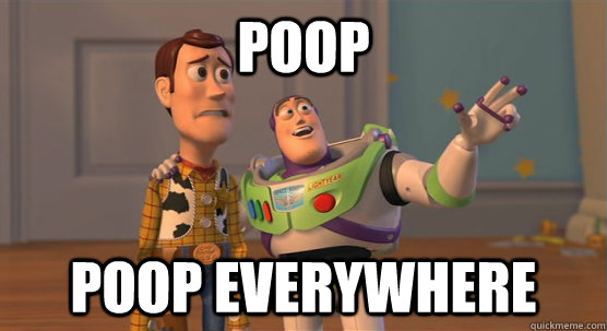 poop poop everywhere - poop poop everywhere  Toy Story Everywhere