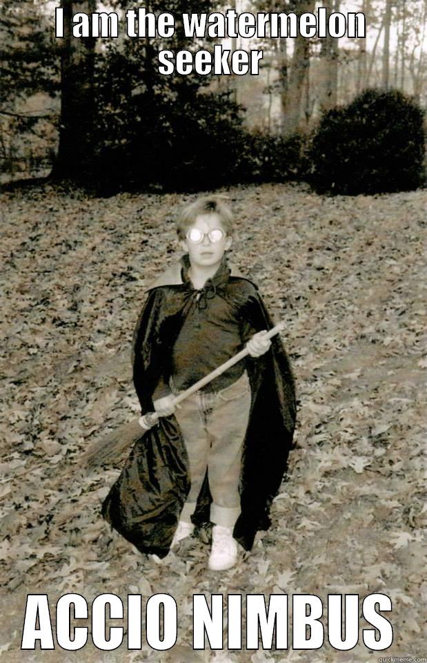I AM THE WATERMELON SEEKER ACCIO NIMBUS Misc