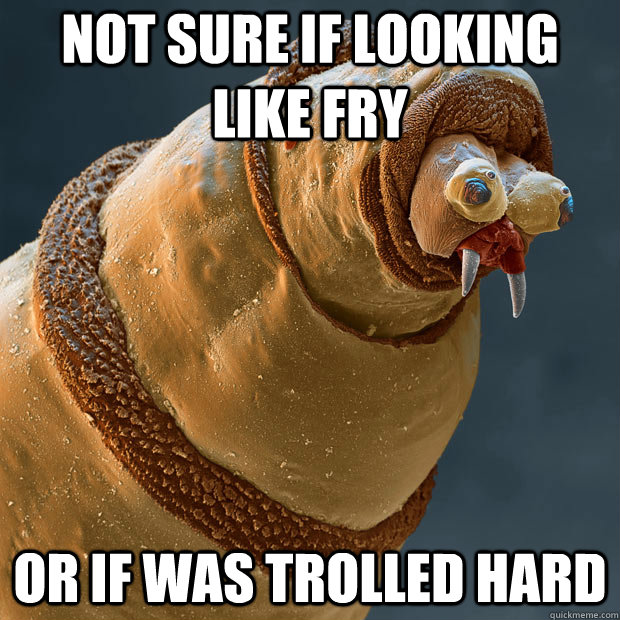 Not sure if looking like Fry or if was trolled hard - Not sure if looking like Fry or if was trolled hard  Derp larva