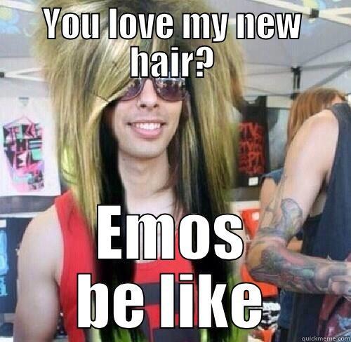 Emos be like - YOU LOVE MY NEW HAIR? EMOS BE LIKE Misc
