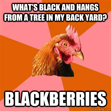 What's black and hangs from a tree in my back yard? Blackberries - What's black and hangs from a tree in my back yard? Blackberries  Anti-Joke Chicken