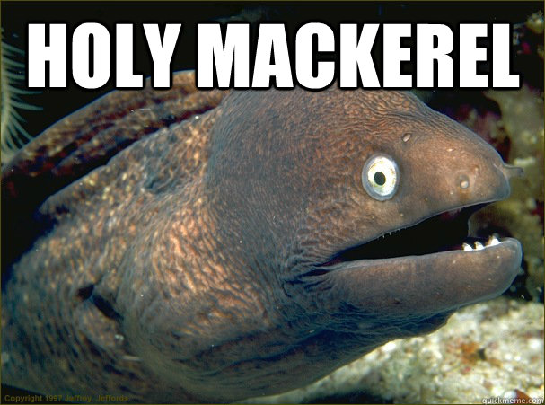 HOLY MACKEREL   Bad Joke Eel