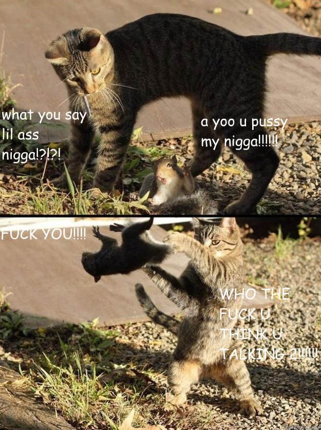a yoo u pussy my nigga!!!!!! what you say lil ass nigga!?!?! FUCK YOU!!!! WHO THE FUCK U THINK U TALKING 2!!!!!! - a yoo u pussy my nigga!!!!!! what you say lil ass nigga!?!?! FUCK YOU!!!! WHO THE FUCK U THINK U TALKING 2!!!!!!  Annoying Squirrel