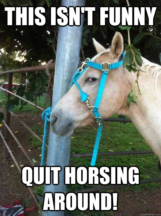 this isn't funny quit horsing around!  