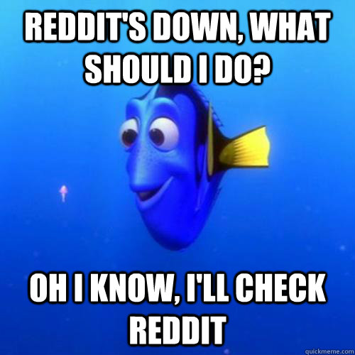 Reddit's down, what should I do? oh I know, i'll check reddit  dory