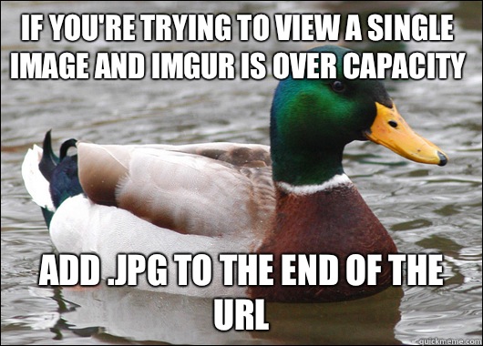 If you're trying to view a single image and imgur is over capacity Add .jpg to the end of the url  Actual Advice Mallard