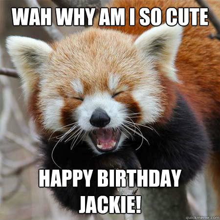 WAH why am i so cute Happy Birthday Jackie! - WAH why am i so cute Happy Birthday Jackie!  Good Time Red Panda