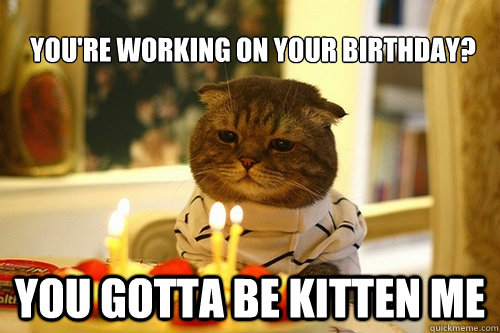 you're working on your birthday? YOU GOTTA BE KITTEN ME  