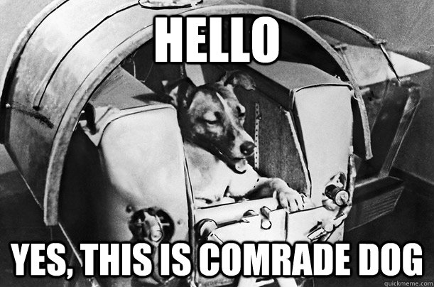 Hello Yes, this is comrade dog - Hello Yes, this is comrade dog  Comrade Dog