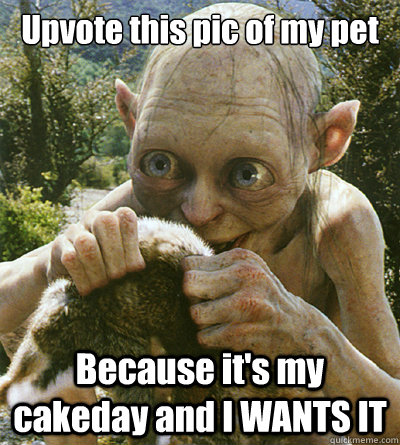 Upvote this pic of my pet Because it's my cakeday and I WANTS IT  Cakeday Smeagol