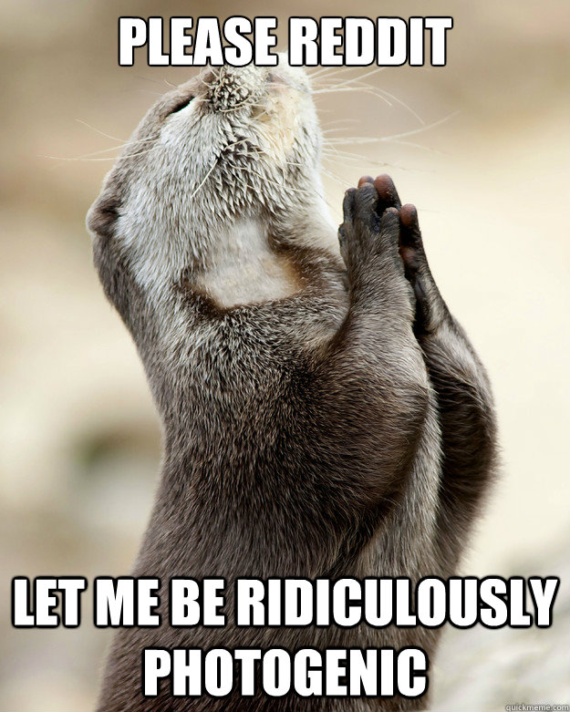 Please Reddit Let Me Be Ridiculously Photogenic - Please Reddit Let Me Be Ridiculously Photogenic  Otter praying