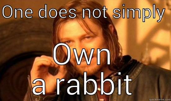 ONE DOES NOT SIMPLY  OWN A RABBIT Boromir