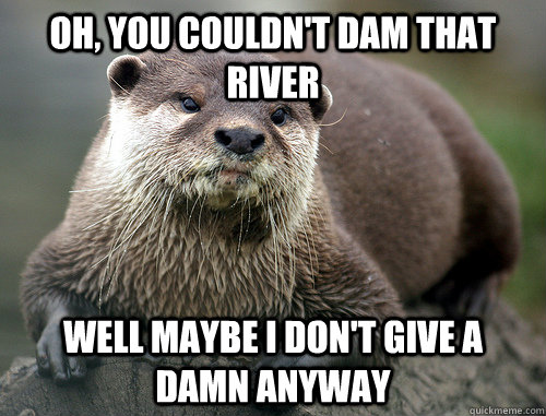 Oh, you couldn't dam that river well maybe I don't give a damn anyway - Oh, you couldn't dam that river well maybe I don't give a damn anyway  Misc