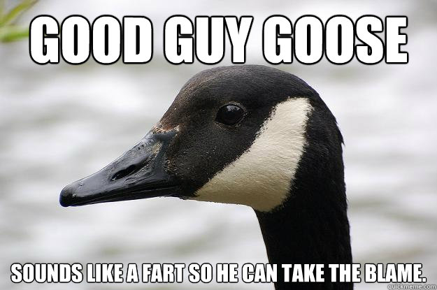 Good guy goose sounds like a fart so he can take the blame. - Good guy goose sounds like a fart so he can take the blame.  Good Guy Goose