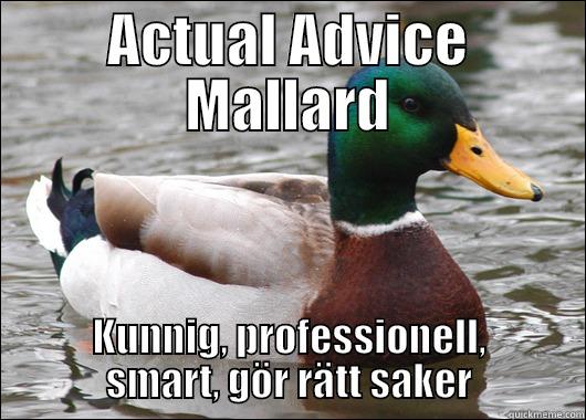 Actual lololol - ACTUAL ADVICE MALLARD KUNNIG, PROFESSIONELL, SMART, GÖR RÄTT SAKER Actual Advice Mallard