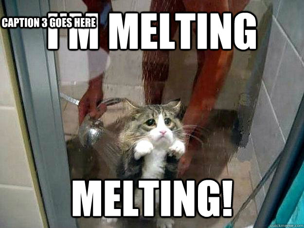 I'm melting MELTING! Caption 3 goes here - I'm melting MELTING! Caption 3 goes here  Shower kitty