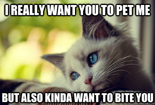 i really want you to pet me but also kinda want to bite you - i really want you to pet me but also kinda want to bite you  First World Cat Problems